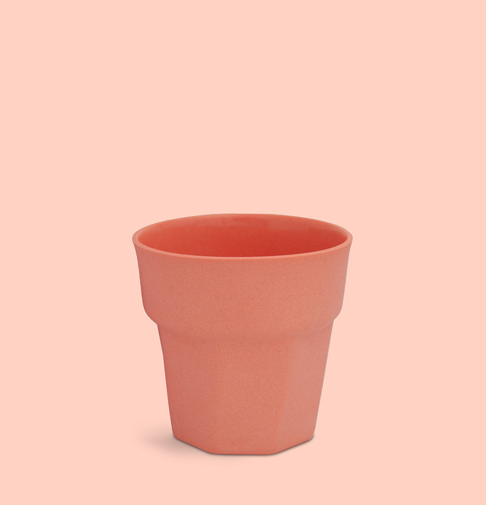 Number 8 : Intellect - Two Cups | Peach
