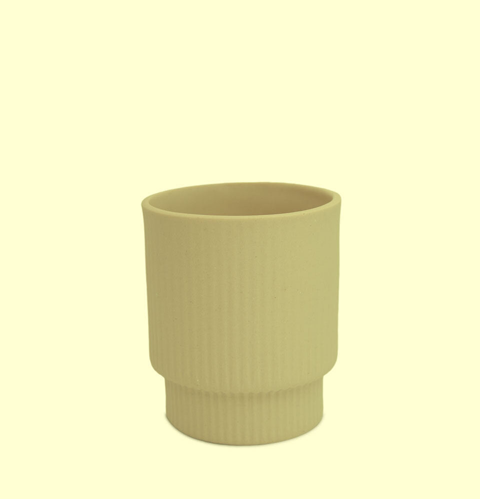 Number 1 : Leader - Two Cups | Citrus