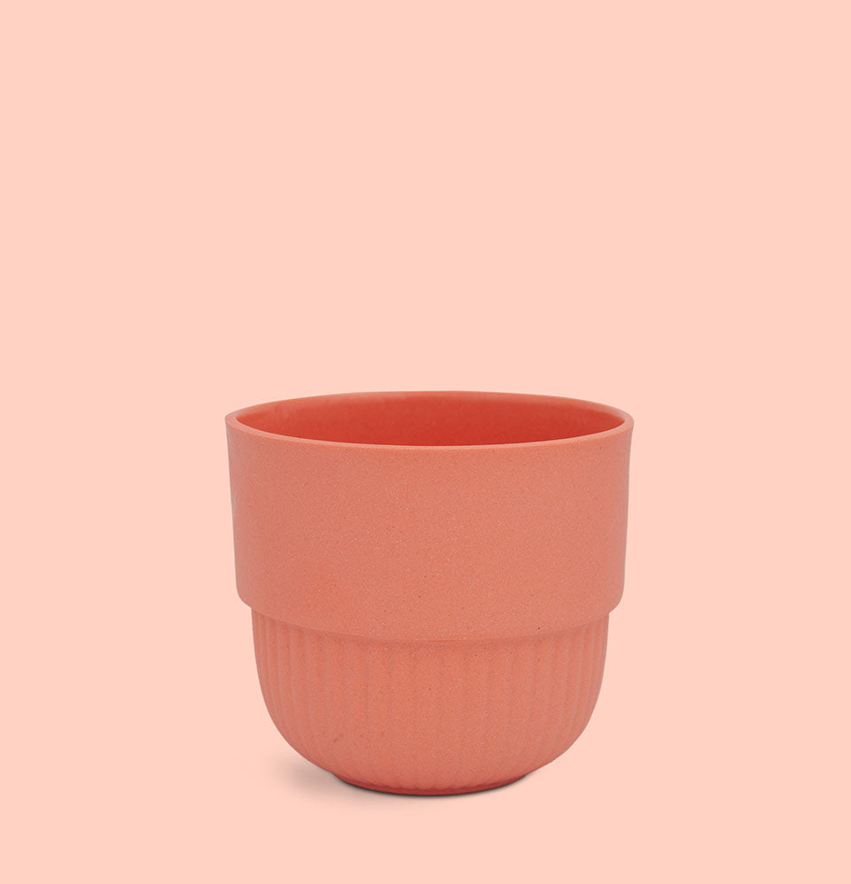 The Throat Chakra Cup (Voice) : Communication - Two Cups | Peach